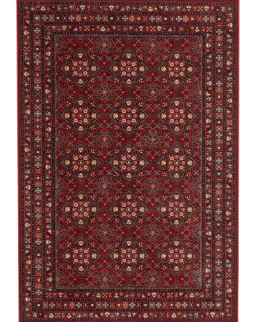 Ковер бельгийский 4372300 KASHQAI Shapur (Шерсть, красный)